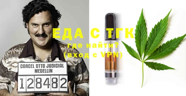 индика Дмитров