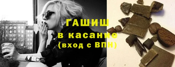 индика Дмитров