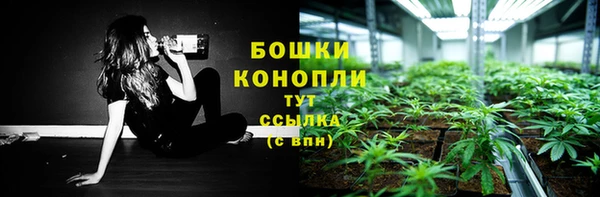 индика Дмитров