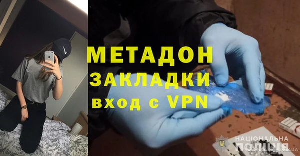 индика Дмитров