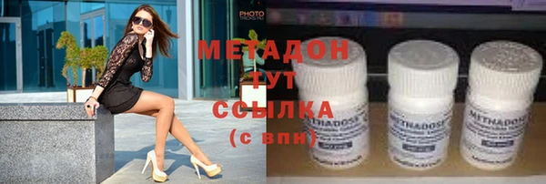 индика Дмитров