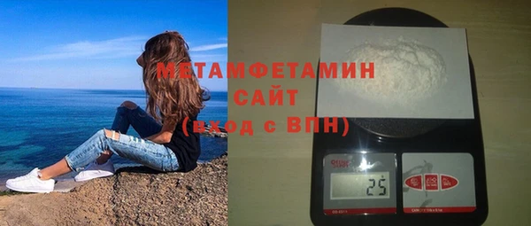 индика Дмитров