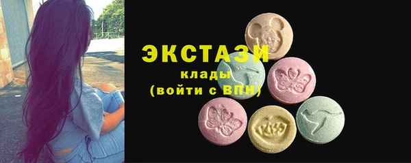 индика Дмитров
