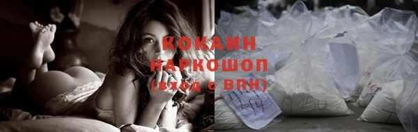 индика Дмитров