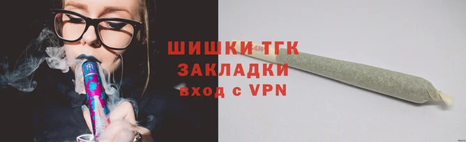 индика Дмитров