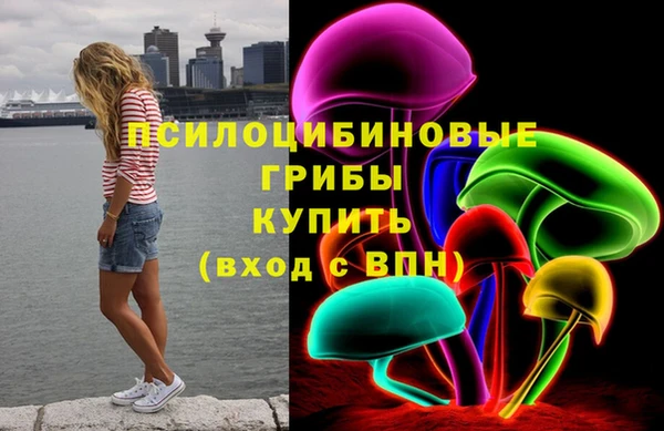 индика Дмитров