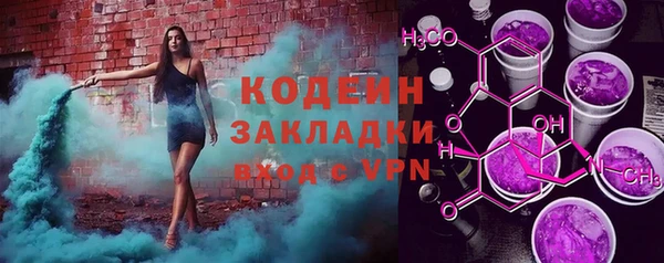 индика Дмитров