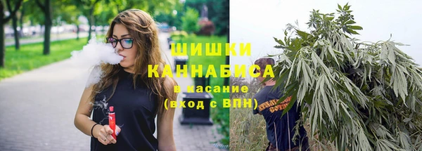индика Дмитров