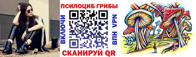 где купить наркотик  Новосибирск  Псилоцибиновые грибы GOLDEN TEACHER 